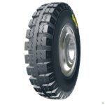 Trayal 6.00-16/6 D17 Trayal