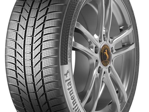 Continental WINTERCONTACT TS 870 P 205/60 R16 92H